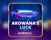 Arowana`s Luck